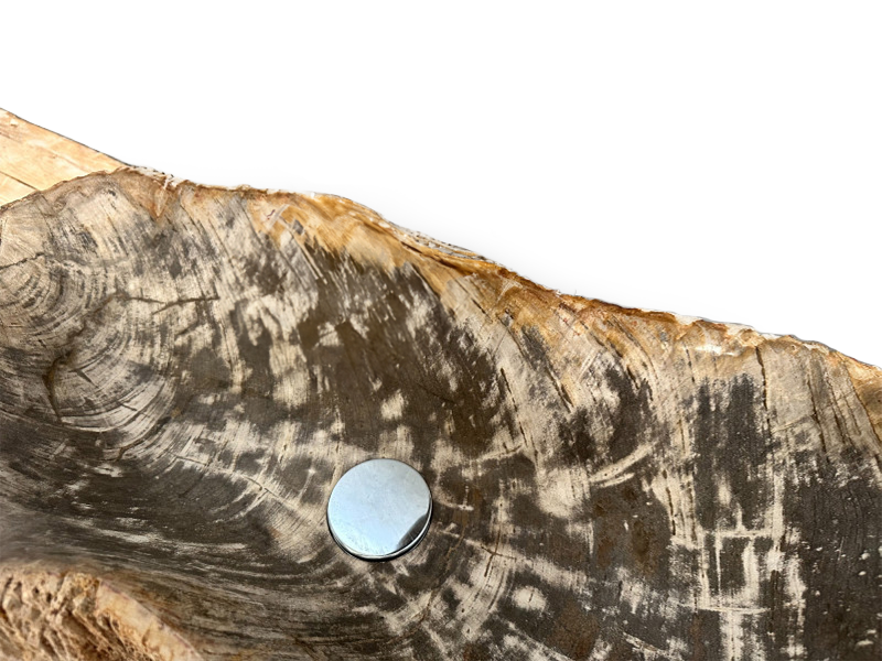 petrified wood sink