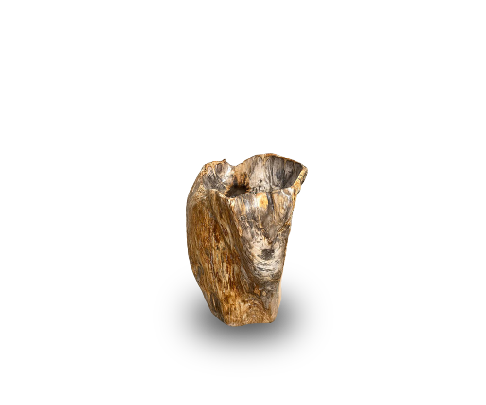 petrified wood wash basin