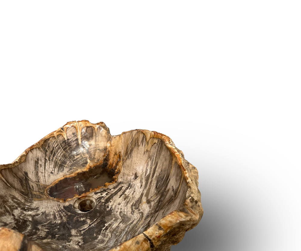 petrified wood wash basin