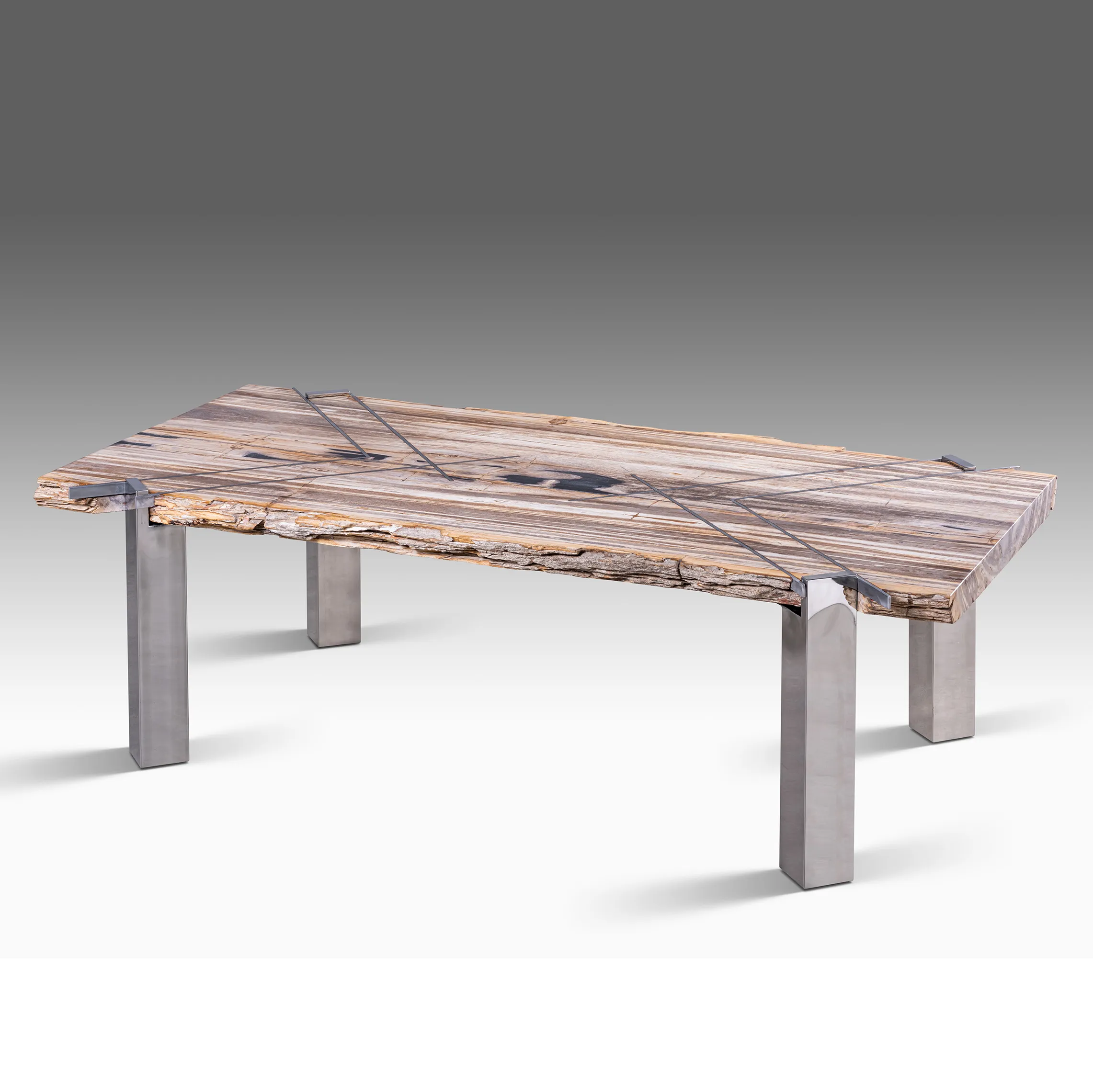 PETRIFIED WOOD Coffee-Table BY ONIX CONCEPT .jpg