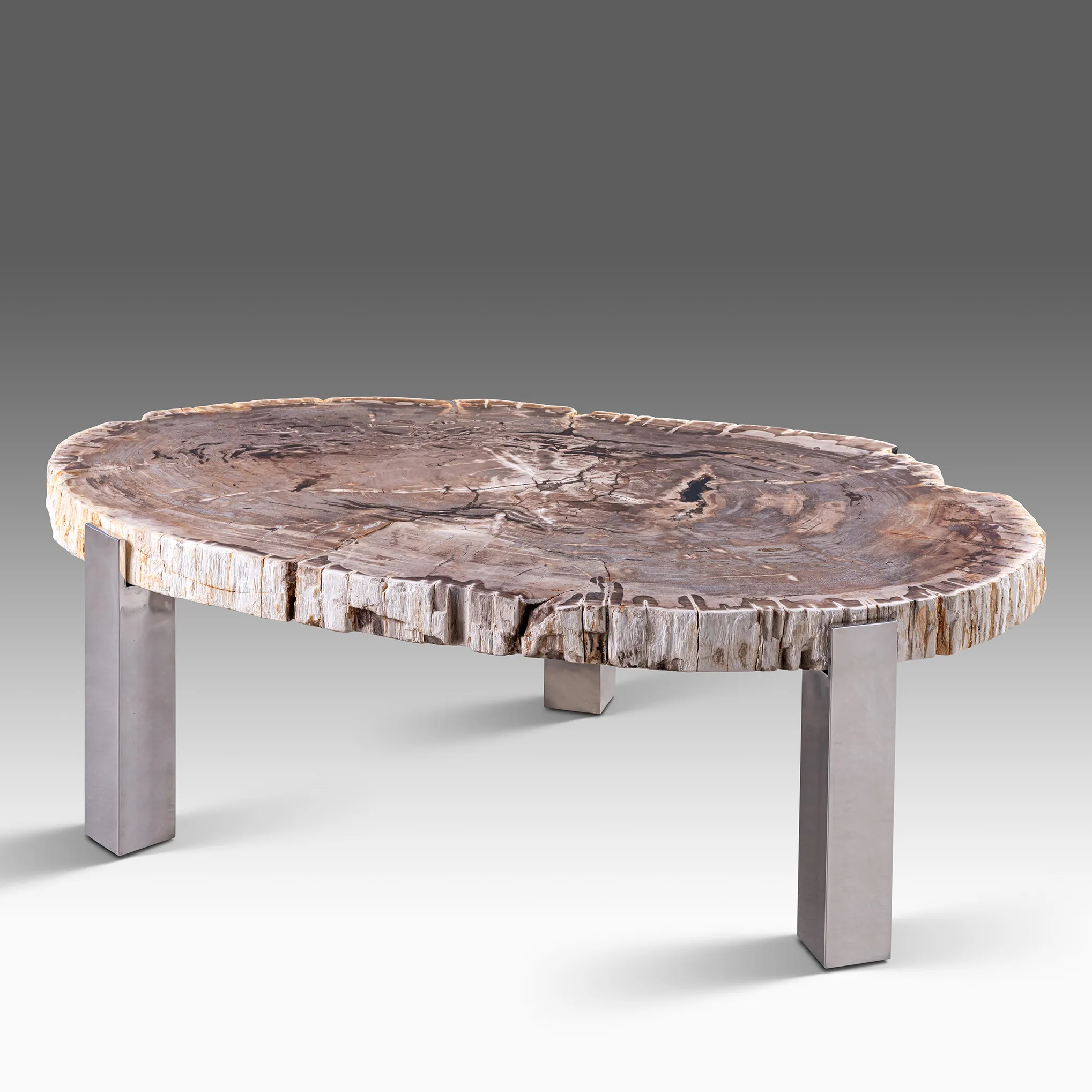 PETRIFIED WOOD Coffee-Table by onyx concept .jpg