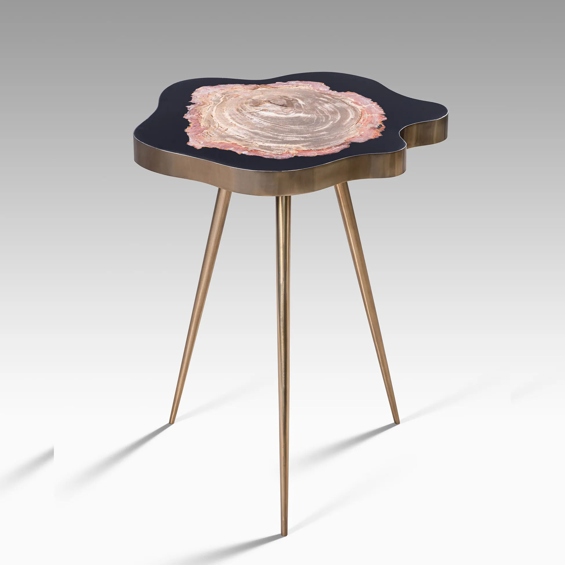 PETRIFIED WOOD TABLE BY ONIX CONCEPT 425 .jpg