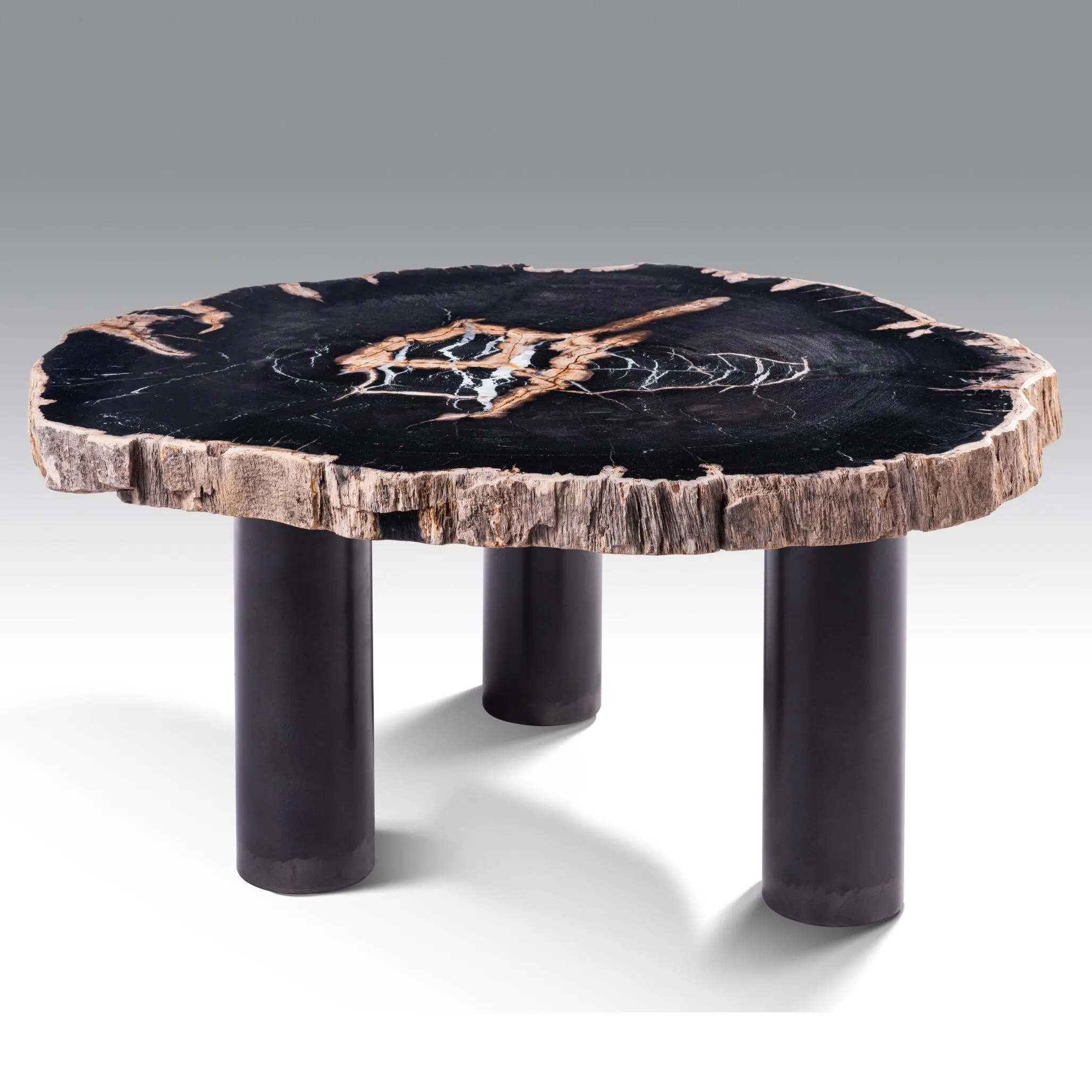 PETRIFIED WOOD TABLE BY ONIX CONCEPT 666-jpg