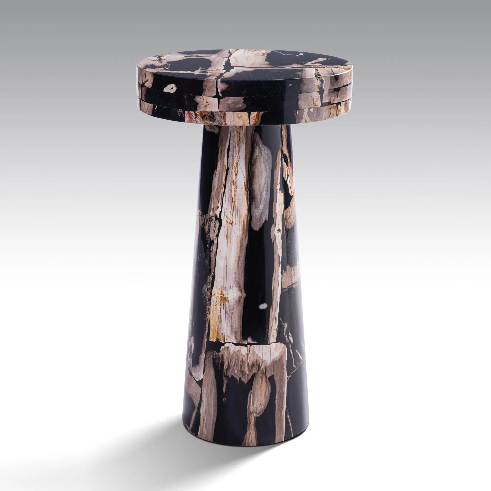 PETRIFIED WOOD TABLE BY ONYX CONCEPT 651jpg