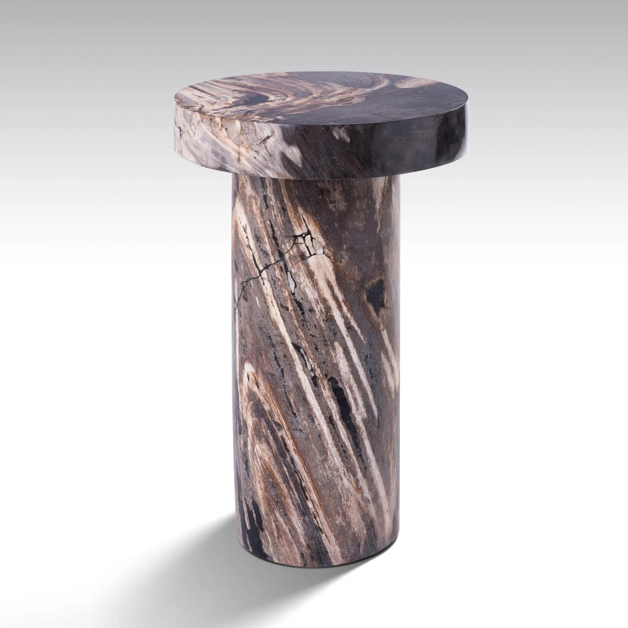 PRTRIFIED WOOD TABLE BY ONIX CONCEPT 619jpg