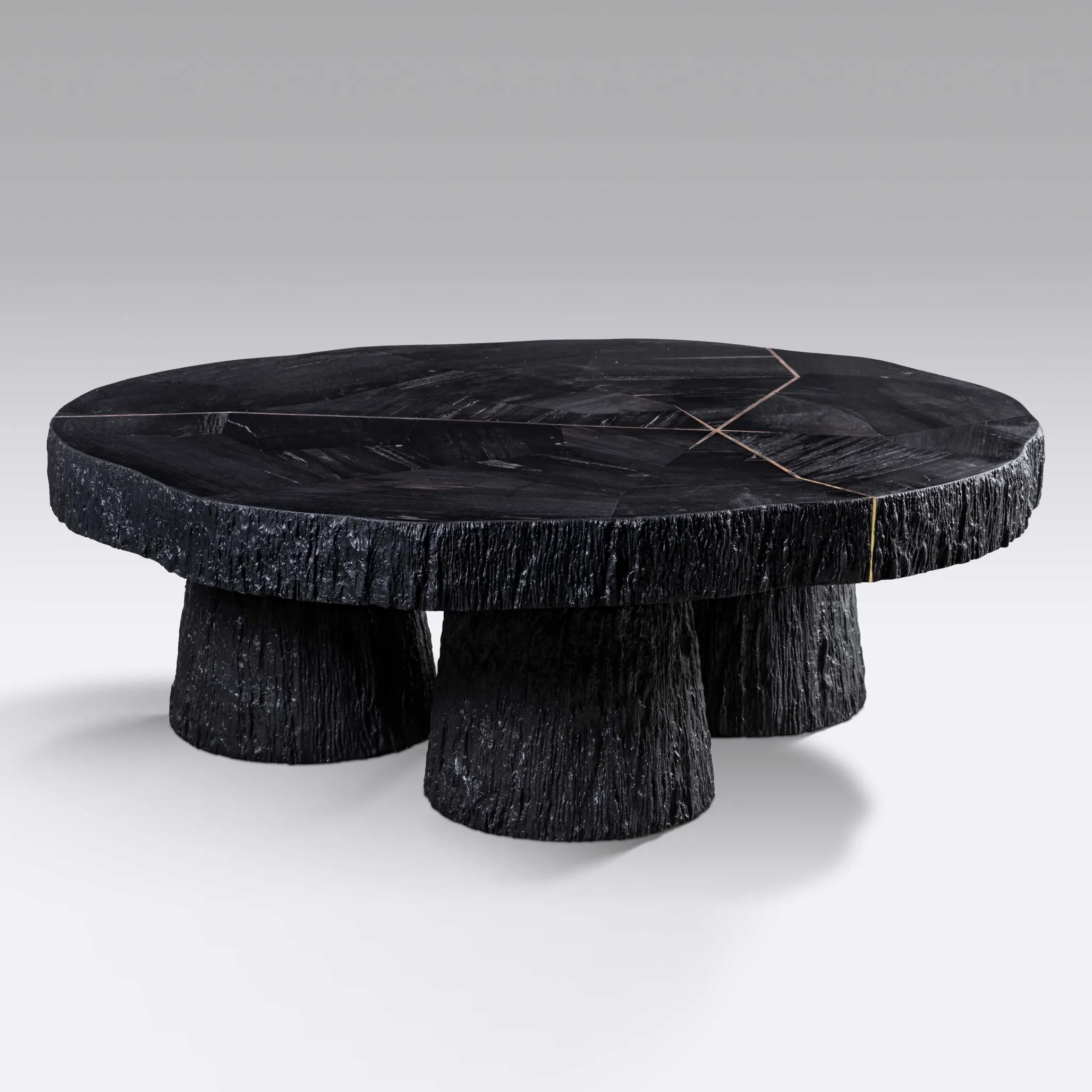 Petrified wood COFFEE-TABLE-jpg