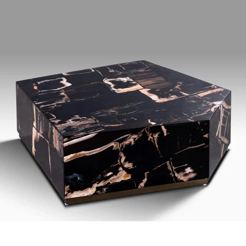 PETRIFIED WOOD COffee-Table BY ONIX CONCEPT .jpg