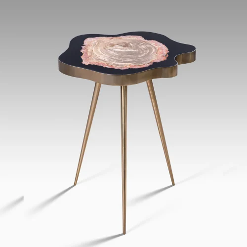 PETRIFIED WOOD TABLE BY ONIX CONCEPT 425 .jpg