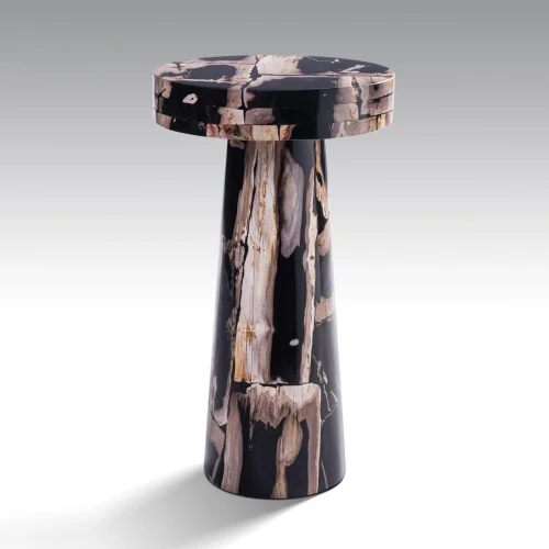 PETRIFIED WOOD TABLE BY ONYX CONCEPT 651jpg
