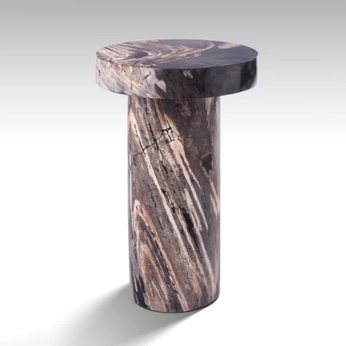 PRTRIFIED WOOD TABLE BY ONIX CONCEPT 619jpg