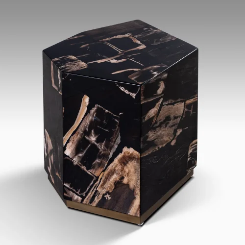 Petrified Wood By Onix Concept 452 .jpg.