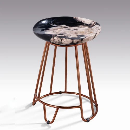 Petrified Wood by onyx 496 .jpg.