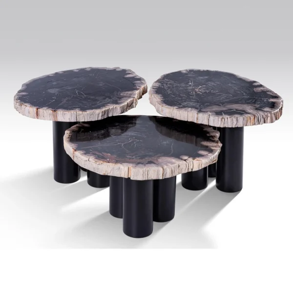 Petrified wood Table set by onyx concept 628-jpg