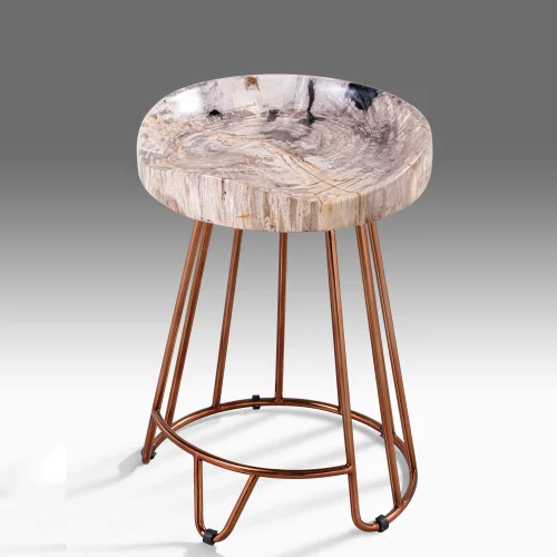 Petrified wood by onyx 497 .jpg.