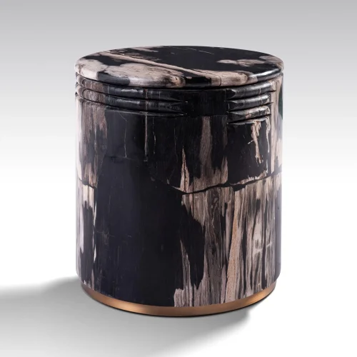 Petrified wood by onyx concept 626-