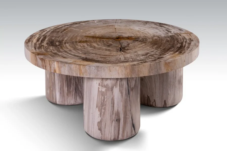 Petrified wood table 738-.jpg